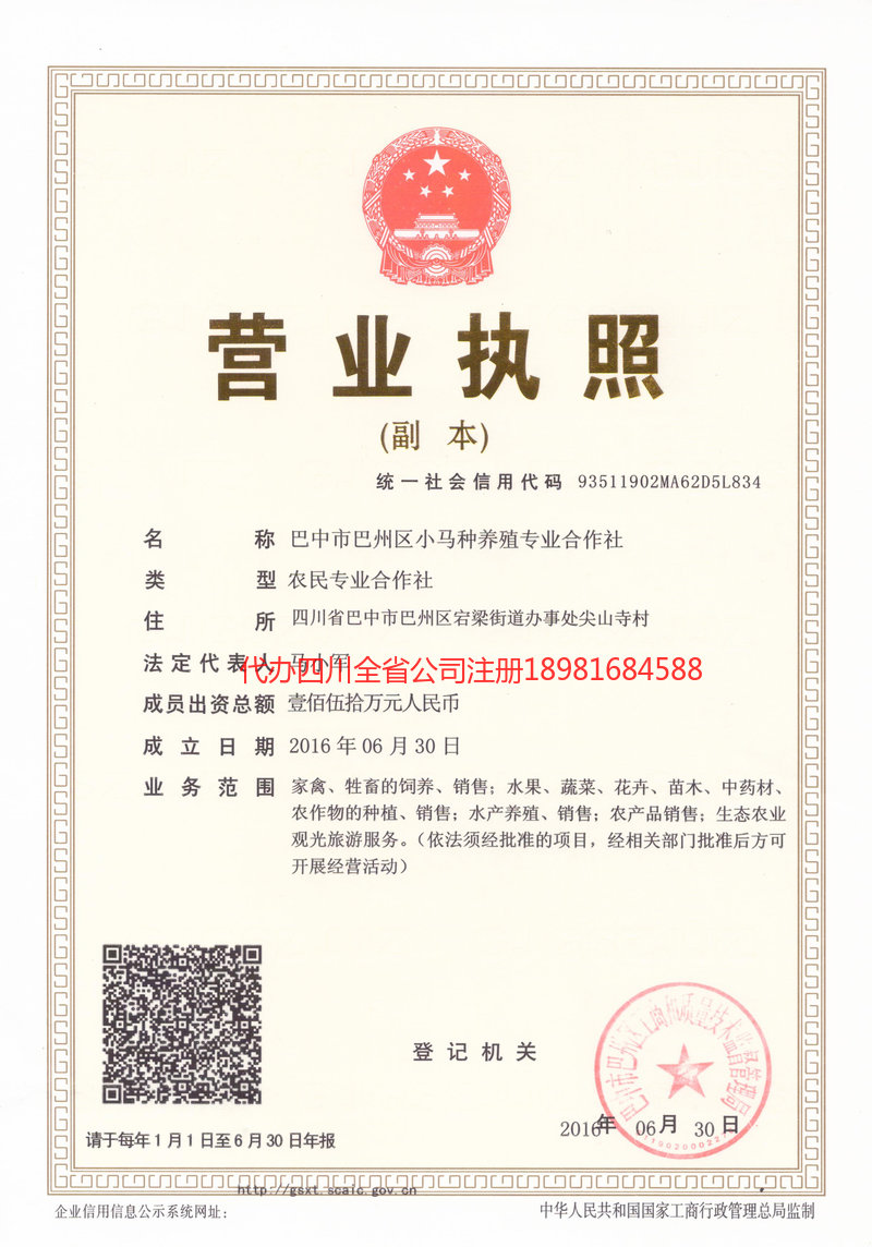 固原固原小马种养殖专业合作社